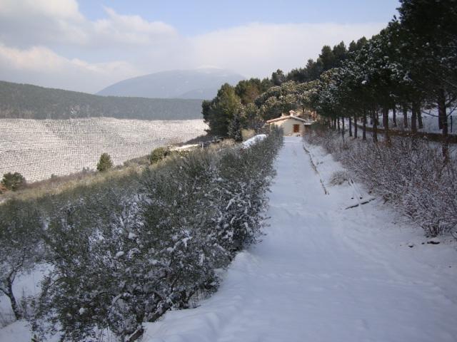 Agriturismo Istrice Innamorato Campello sul Clitunno Exterior foto